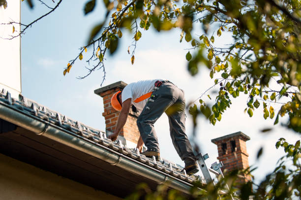 Best Roof Maintenance Services  in Fairwood, WA